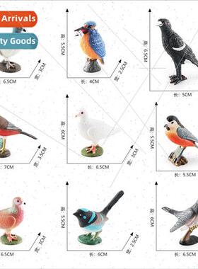 Birds birds animals pigeon cuckoo blue wren warbler red-bell