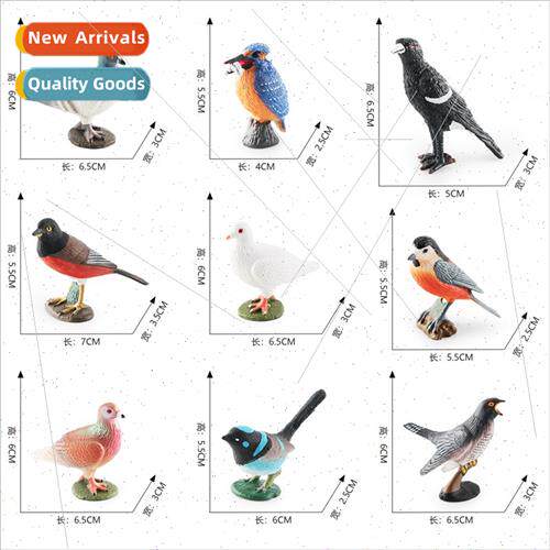 Birds birds animals pigeon cuckoo blue wren warbler red-bell
