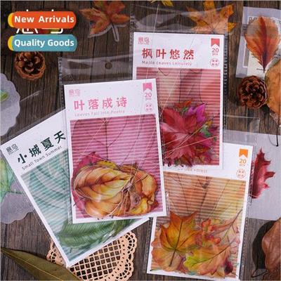 Leaf fall into poetry PET sticker pack fresh plant leaves ha