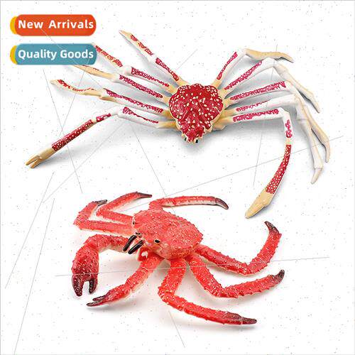 Crab model children cognive spider crab king crab ornament t