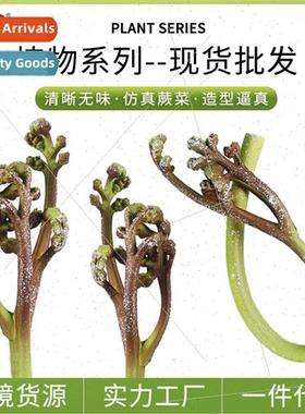 Science education enlightenment plant fake fern wild vegetab