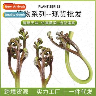 Science education enlightenment plant fake fern wild vegetab