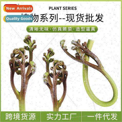 Science education enlightenment plant fake fern wild vegetab
