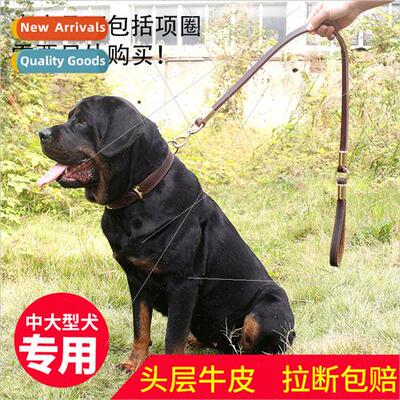 Dog leash double thick cowhide pet dog chain golden hair Ger