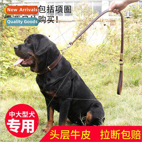 Dog leash double thick cowhide pet dog chain golden hair Ger