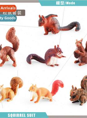 Animal model microscopic wild squirrel red-bellied squirrel