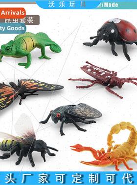 Ladybug Butterfly Mosquo Dragonfly Wild Insect Model Set zar