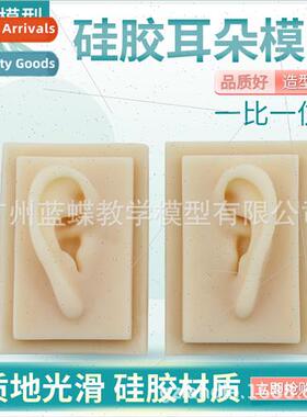 licone ear model simulation ear stud display ear mold hearin