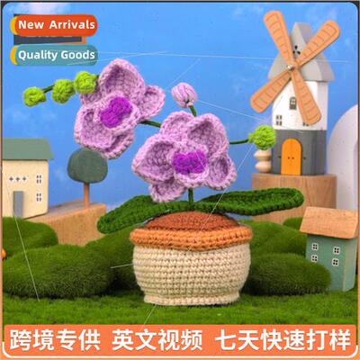 Handmade Wool Crochet Purple Mini Butterfly Orchid Potted Pl