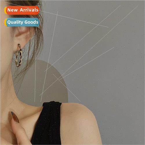 Do old leopard earrings 2021 new tide earrings fashion niche