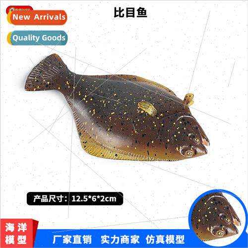 Animal model solid flounder sole fish flounder science educa
