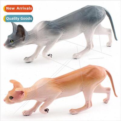 pet cat model canadian hairless cat sphinx cat animal orname