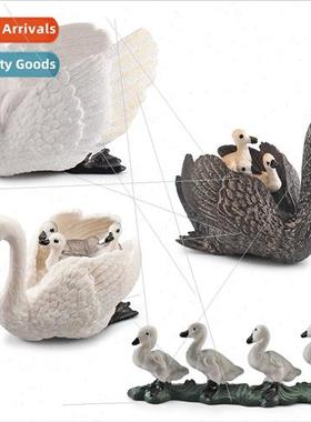 Poultry farm animal model duckling flock whe swan back boy s