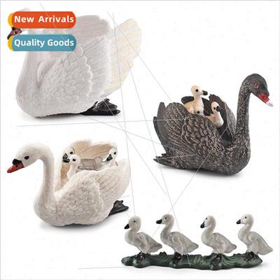 Poultry farm animal model duckling flock whe swan back boy s