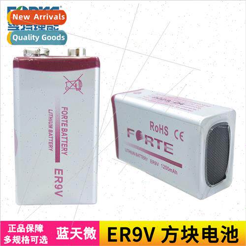 ER9V intelligent water electricy meter gas meter smoke alarm