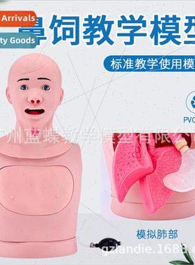 Advanced Nasogastric Tube Tracheal Nursing Model Semi Nursin