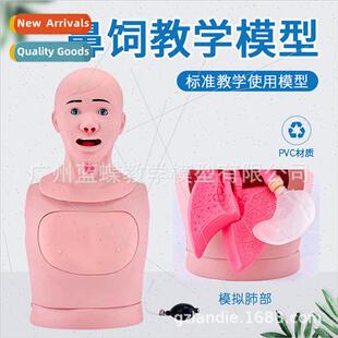 Advanced Nasogastric Tube Tracheal Nursing Model Semi Nursin