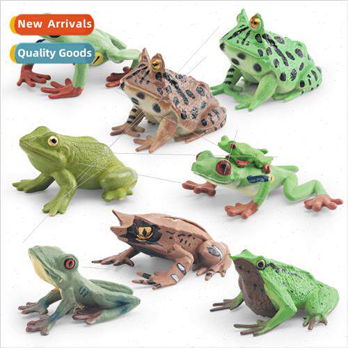 Wildlife frog model children cognive triangle whered leaf fr
