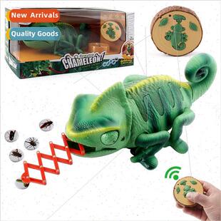 Electric remote control light crawling chameleon Children no
