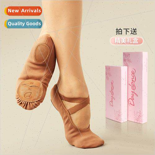 Full elastic cloth dance shoes female soft sole practice sho