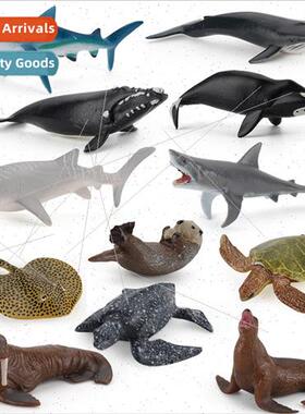 Small volume simulation marine animal model blue whale humpb