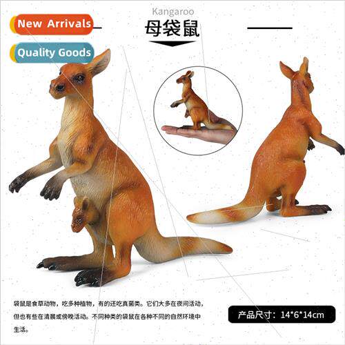 Children new female kangaroo animal world model wildlife mod