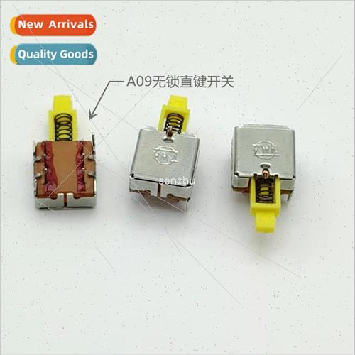 Key Swch A09 Non-Locking Pushbutton Swch 2-Pin Bracket Doubl