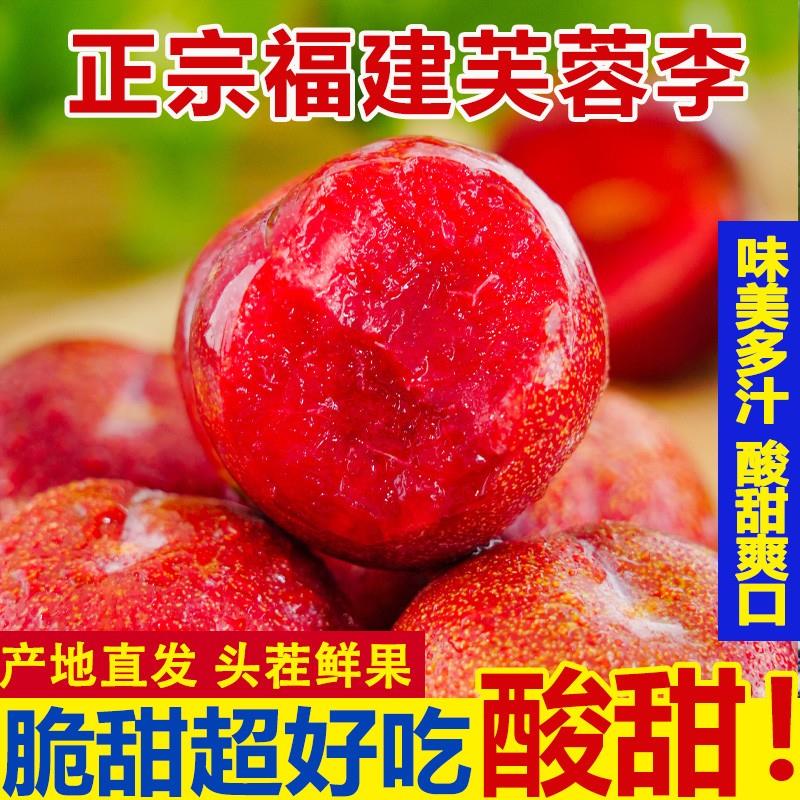 AZ福建高山芙蓉李当季果李子酸甜可口4斤