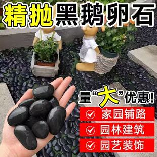 精抛黑色鹅卵石子小黑石头庭院铺路雨花石鹅软石园艺阳台装饰抛光
