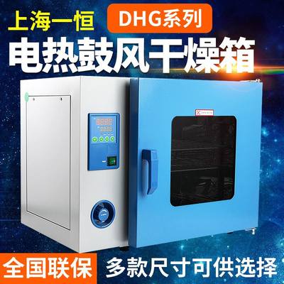 上海一恒DHG-9240A/9030A/9070A/9140A电热恒温鼓风干燥箱 实验室