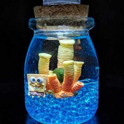 包邮幸福海藻球生态瓶小鱼桌面微景观水培植物生日礼物办公室绿植