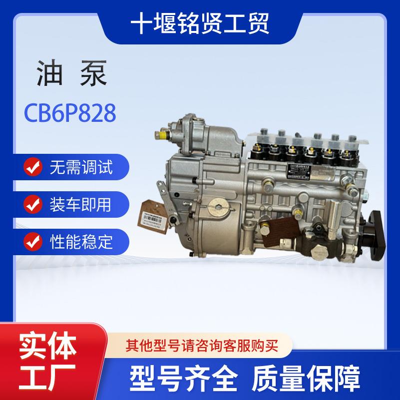 柴油喷油泵CB6P828VG1560080023适用于中国重汽发动机WD615