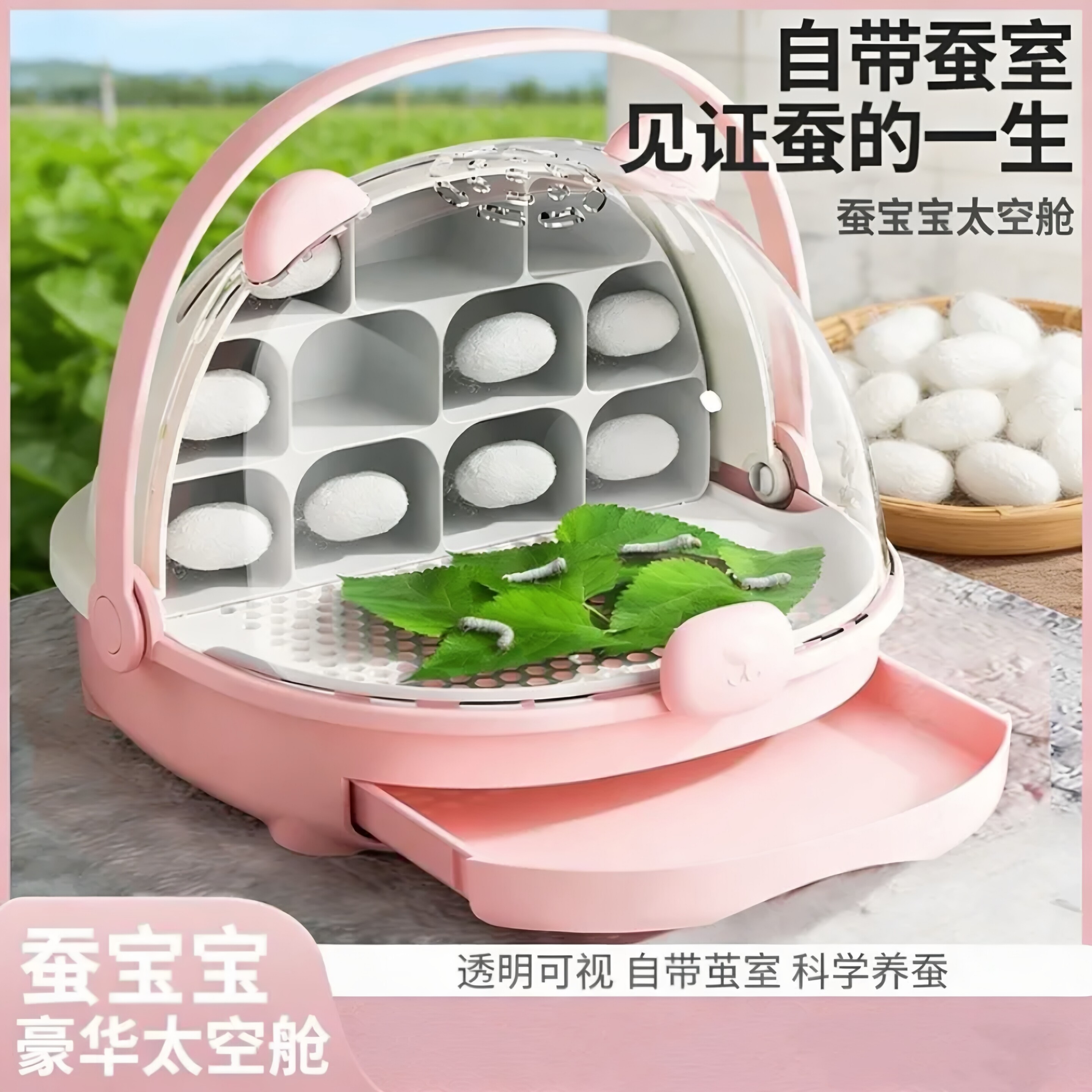 蚕宝宝养育舱学生养蚕蚕卵幼送新鲜桑叶太空舱养蚕专用盒便宜盒子