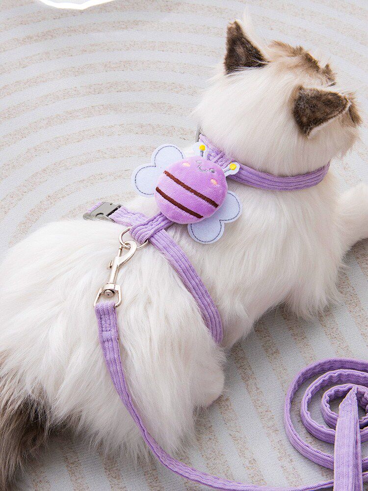 防走丢猫咪牵引绳工字型外出专用遛猫绳防挣脱猫链子幼猫兔子绳子