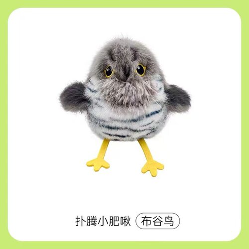 引力扑腾小肥啾猫咪自嗨