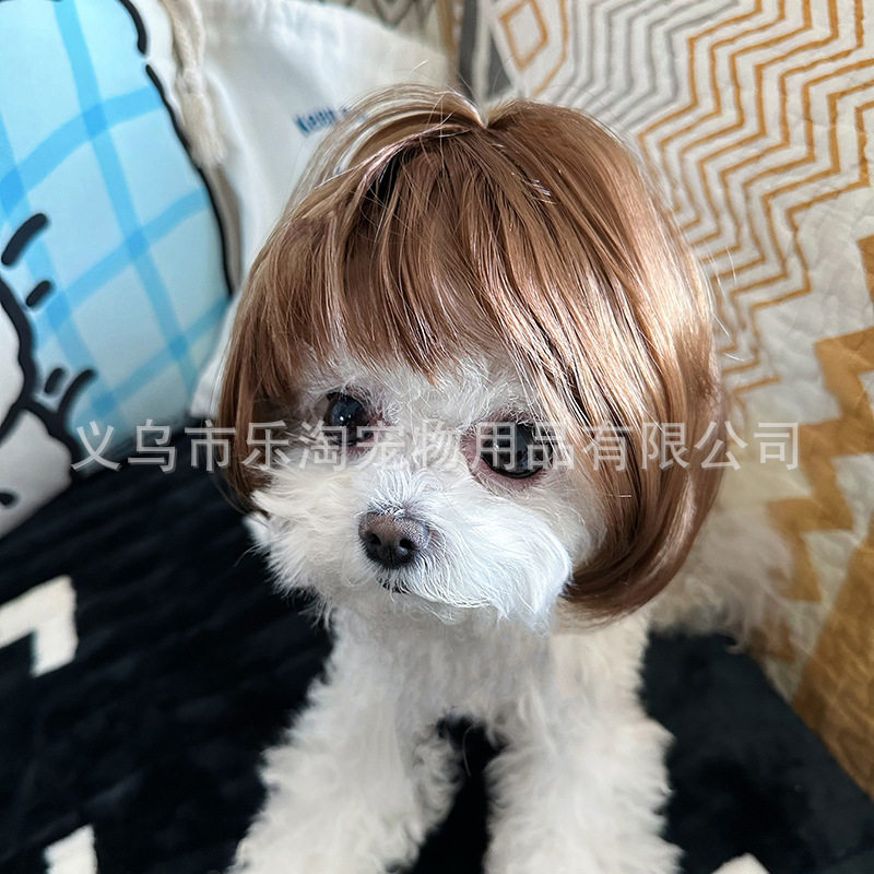 亚麻色宠物假发猫猫装扮