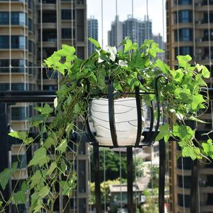 花盆花架栏杆护栏挂钩壁挂挂式 铁艺阳台悬挂式 圆形多肉绿萝花篮架
