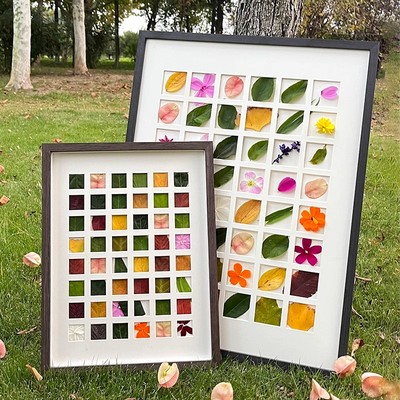 落叶相框diy手工48宫格收集框树叶标本相框挂墙礼物实木叶子画框