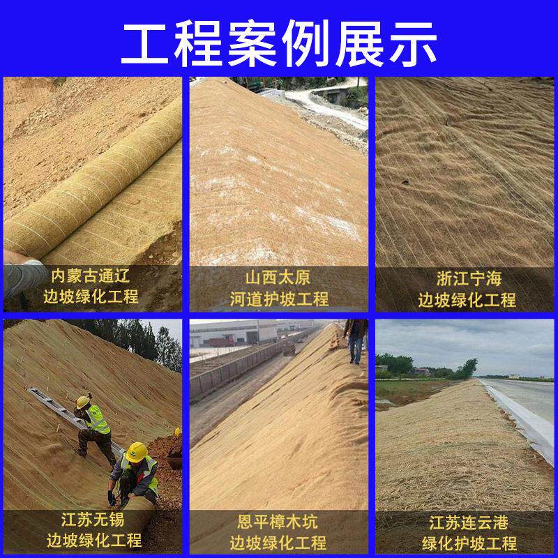 椰丝毯路基固定边坡防护易草植现货制绿厂化工地定家源头材料PIN图片