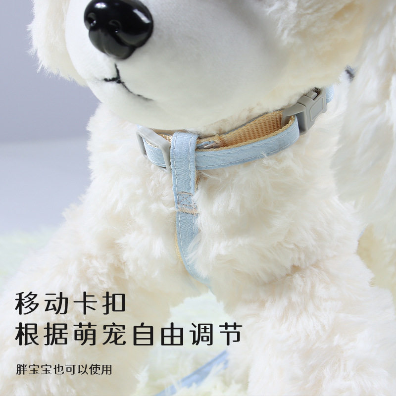 卡哇伊宠物狗狗外出可爱