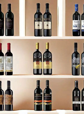 酒柜装饰品摆件仿真红酒橱柜展厅