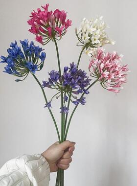 禹涵单枝百子莲仿真花紫色假花