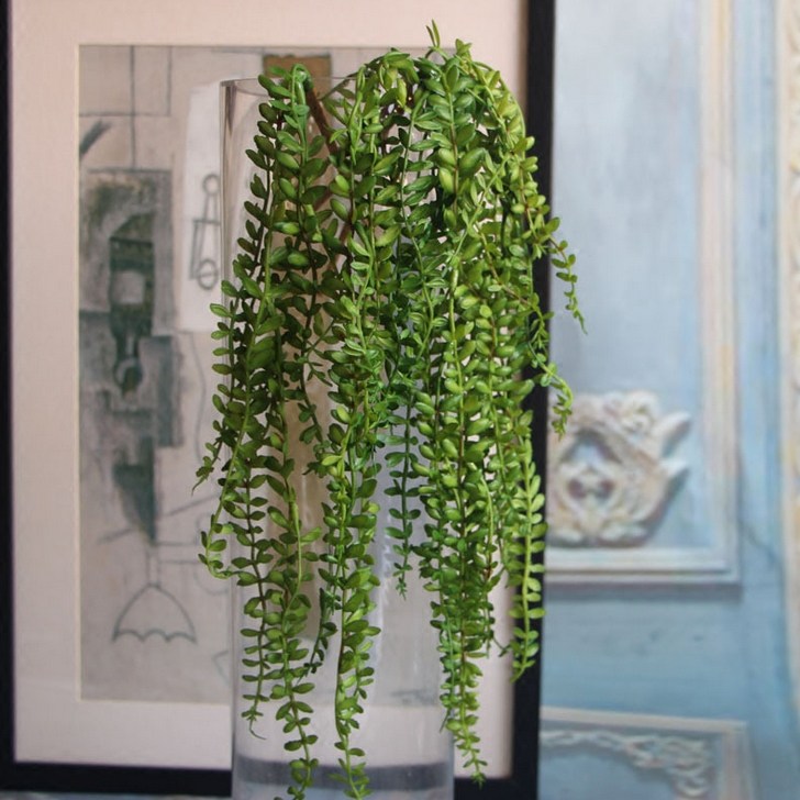 迷你蕨芽藤 仿真蕨叶仿真藤条塑料藤条植物墙挂壁柳条装饰假藤条