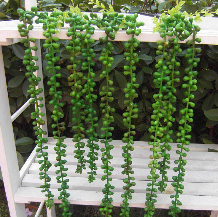 3叉相思豆挂藤 仿真藤条插花配材吊兰软挂挂壁塑料藤绿色植物垂柳