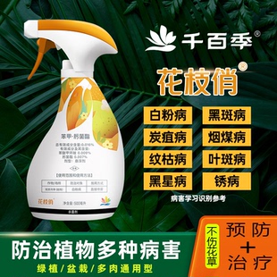 月季兰花专用杀菌剂千百季花枝俏免稀释多菌灵花卉绿植通用菌剂