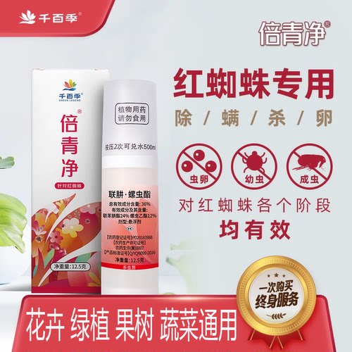 千百季倍青净红蜘蛛专用杀虫药剂
