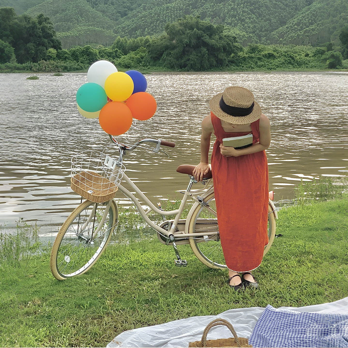 纽斯加代步自行车女士款通勤车成人轻便城市淑女24复古式带车筐