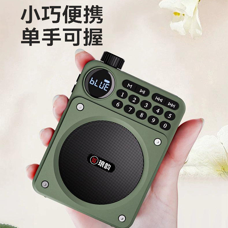 琅韵C65蓝牙扩音器音箱收音机大音量充电式小蜜蜂便携扩音喇叭