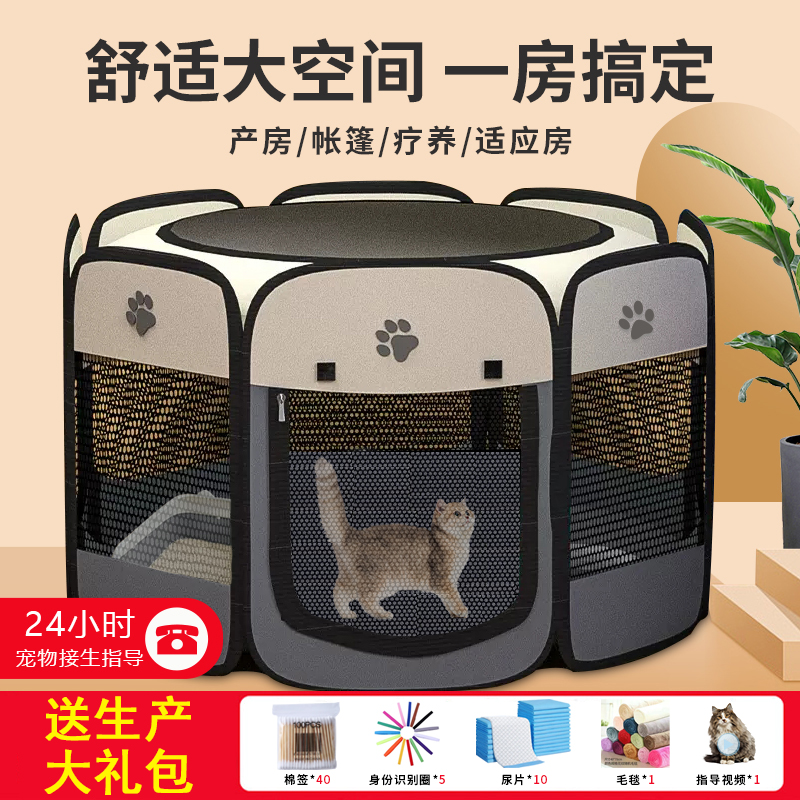 猫咪产房宠物狗狗生育产房产窝