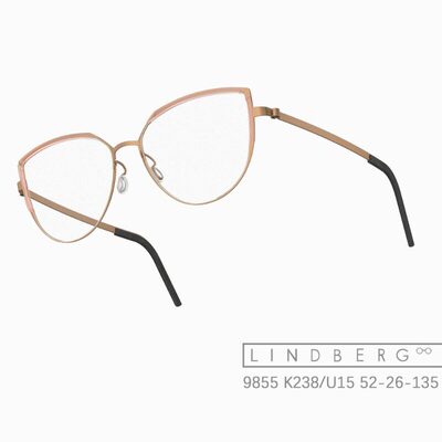LINDBERG林德伯格镜框女士时尚休闲眉毛架超轻钛架雅痞风9855
